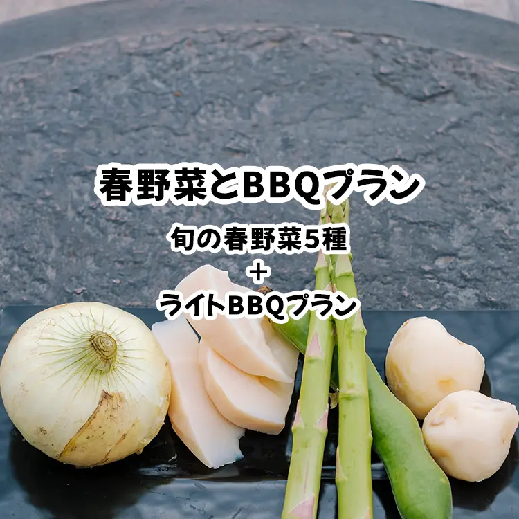 春のBBQプラン